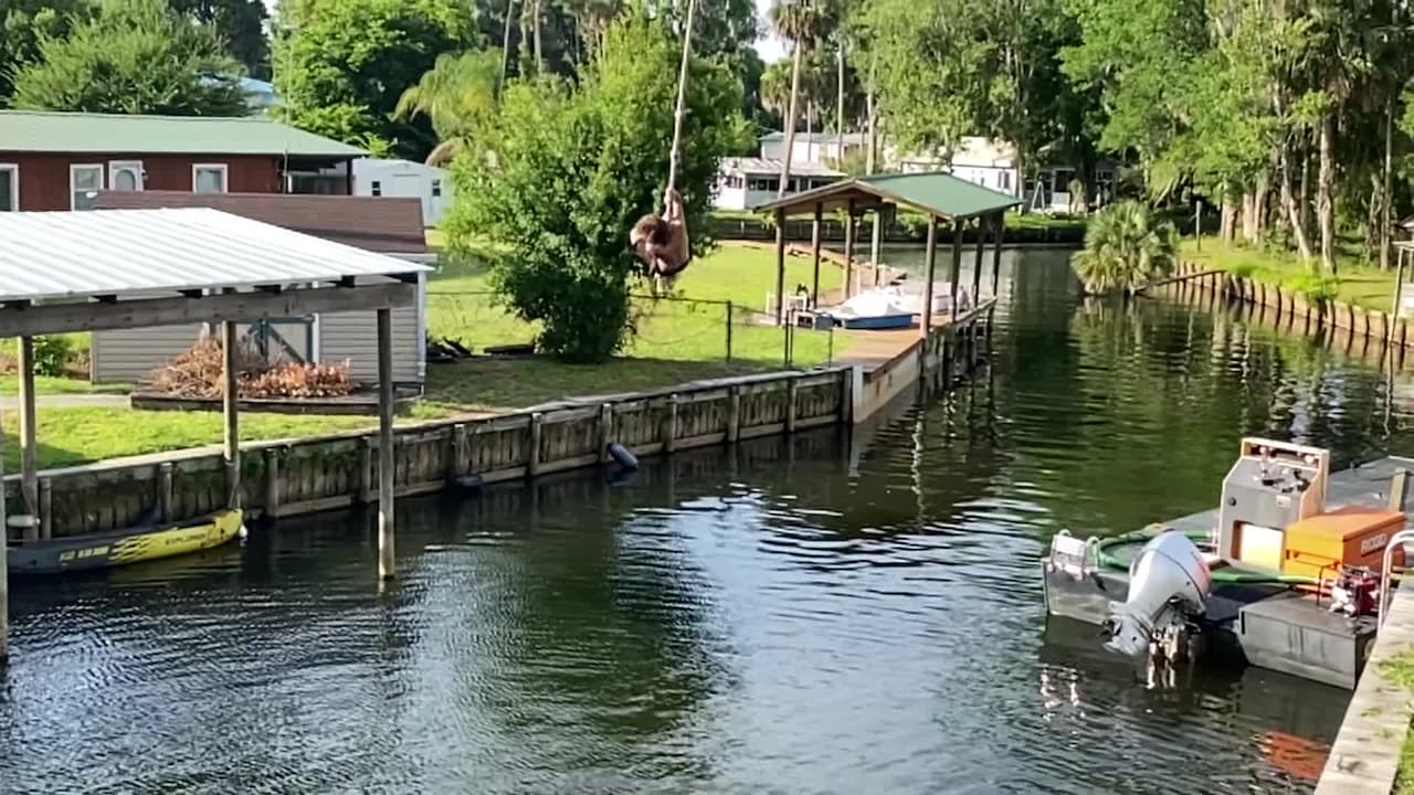 Property video