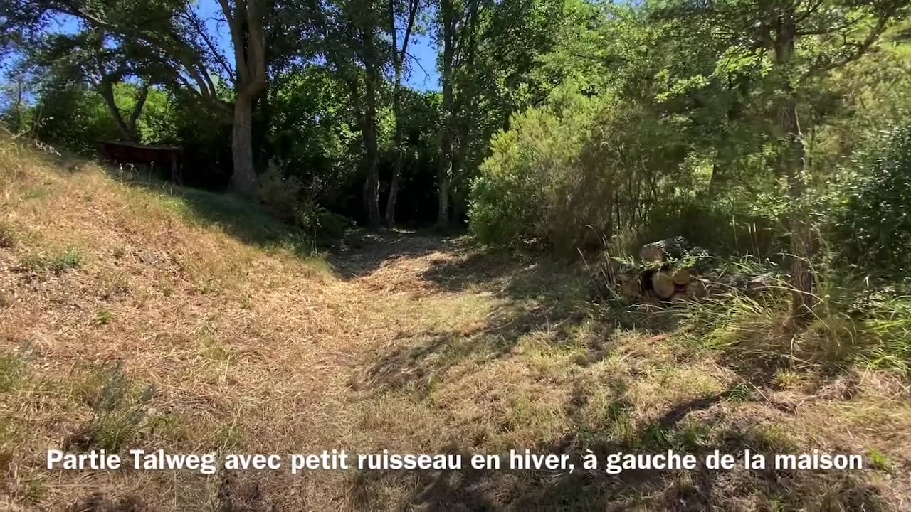 Property video