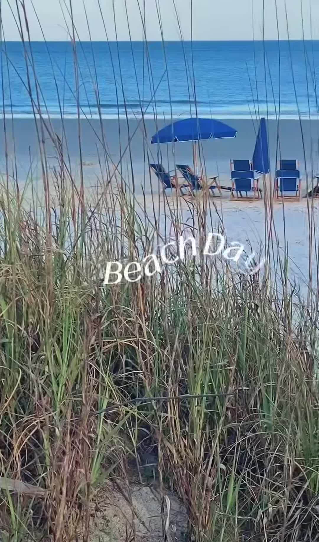 Video der Unterkunft
