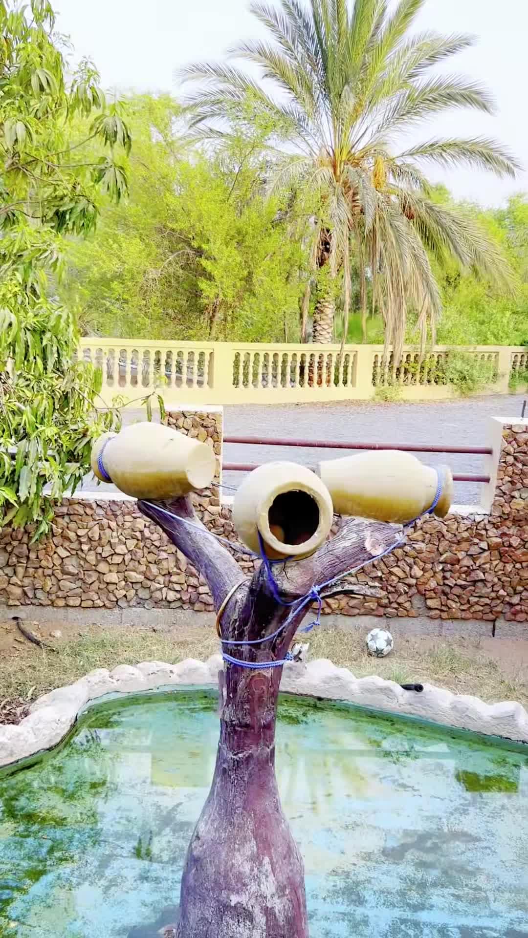 VidĂ©o de lâhĂ©bergement