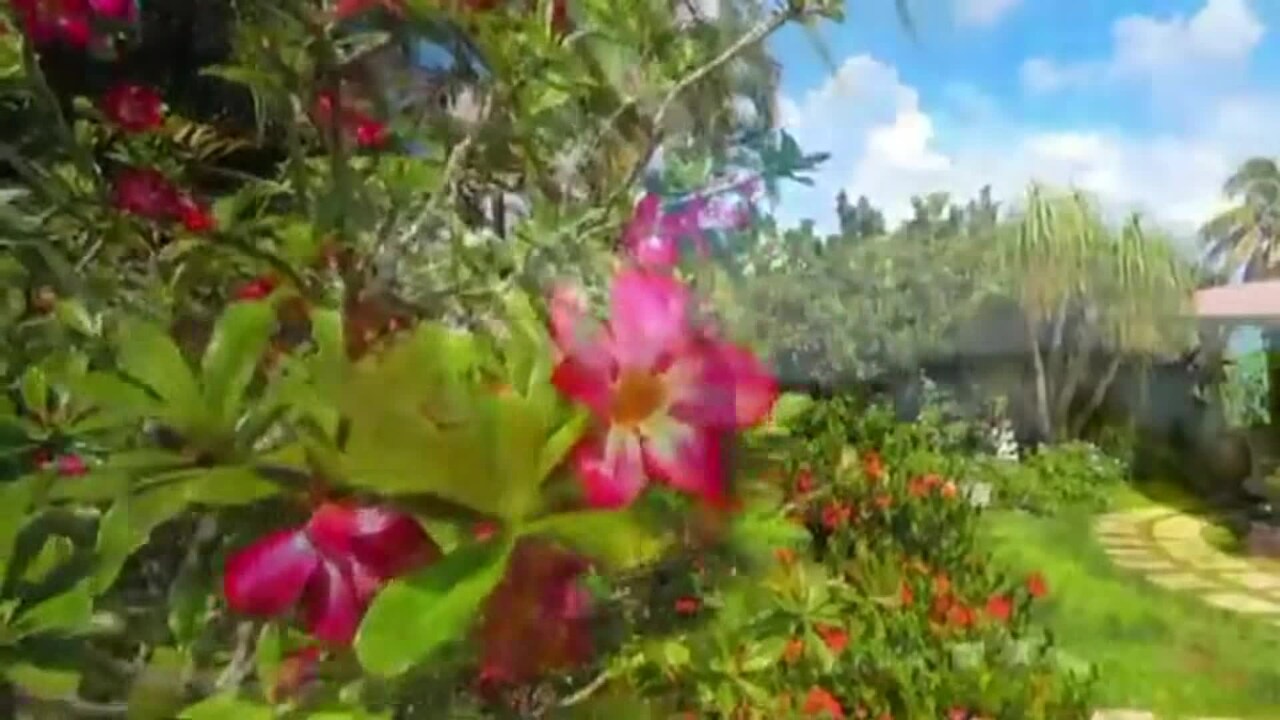 Video af overnatningsstedet