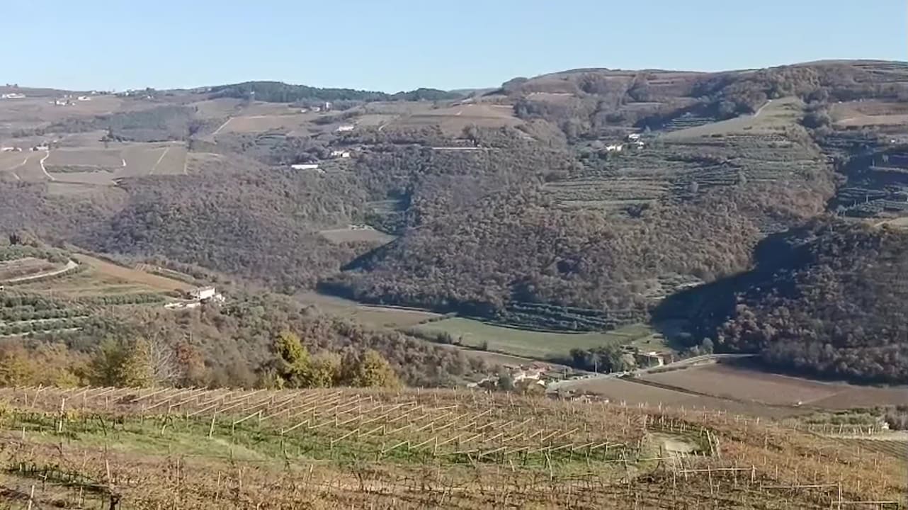 Video der Unterkunft