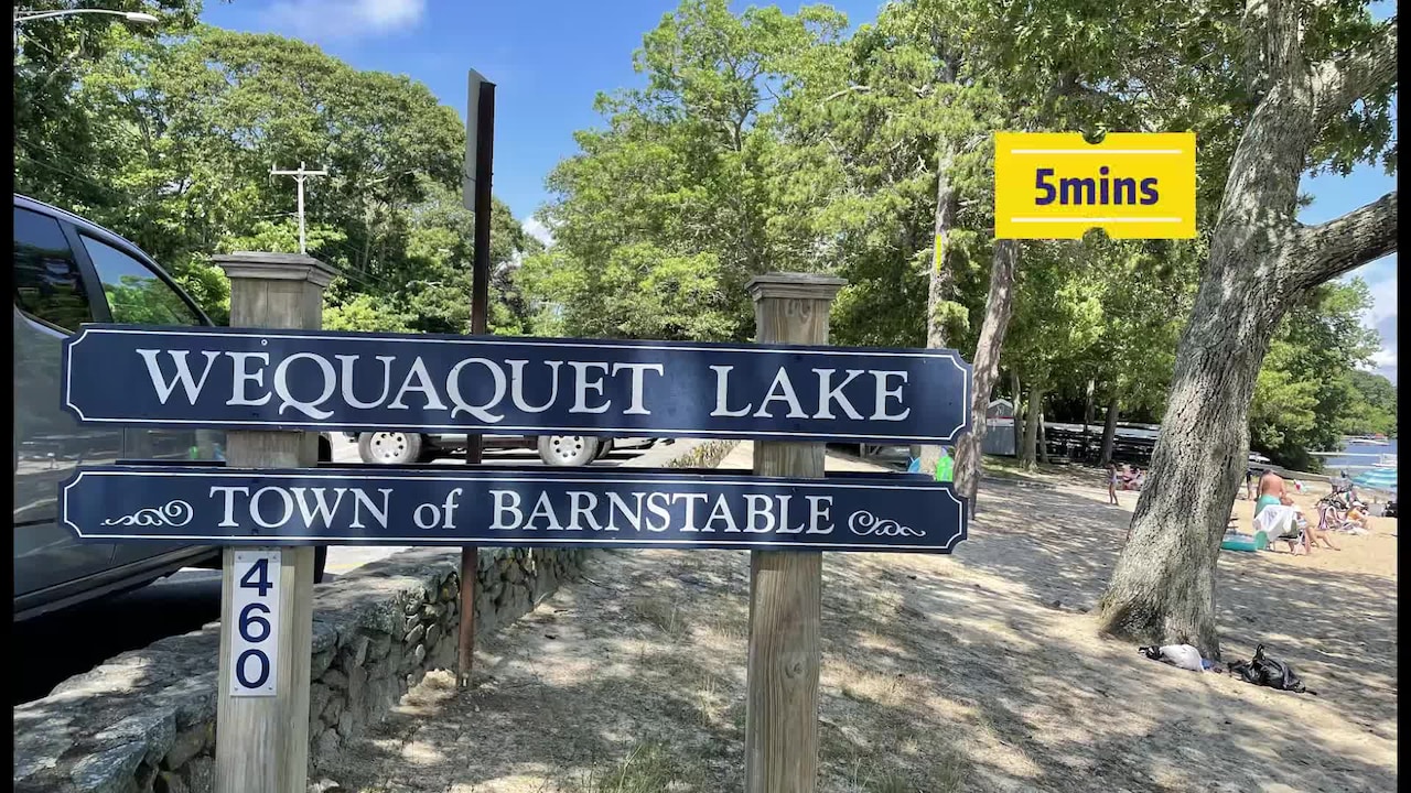 Property video