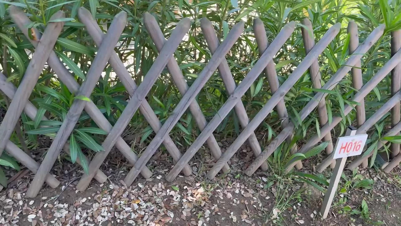 Video der Unterkunft