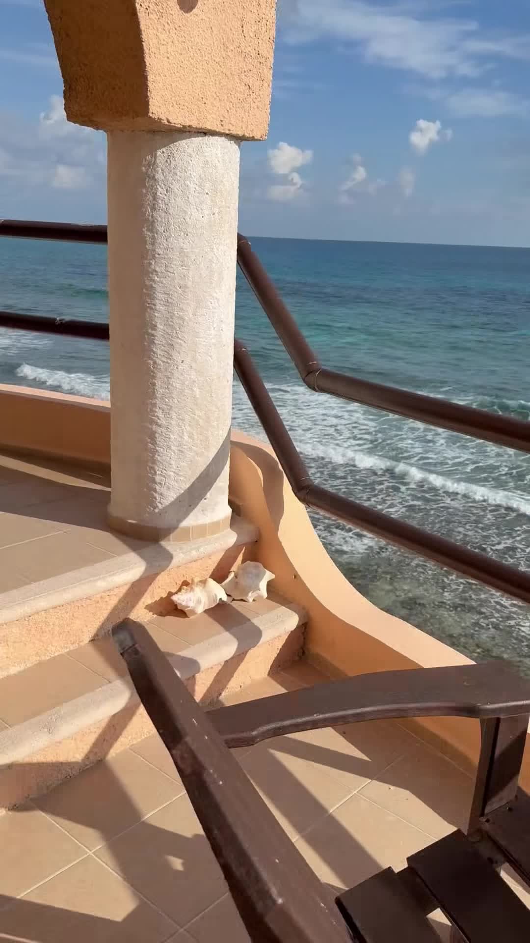 Video realizado por la propiedad