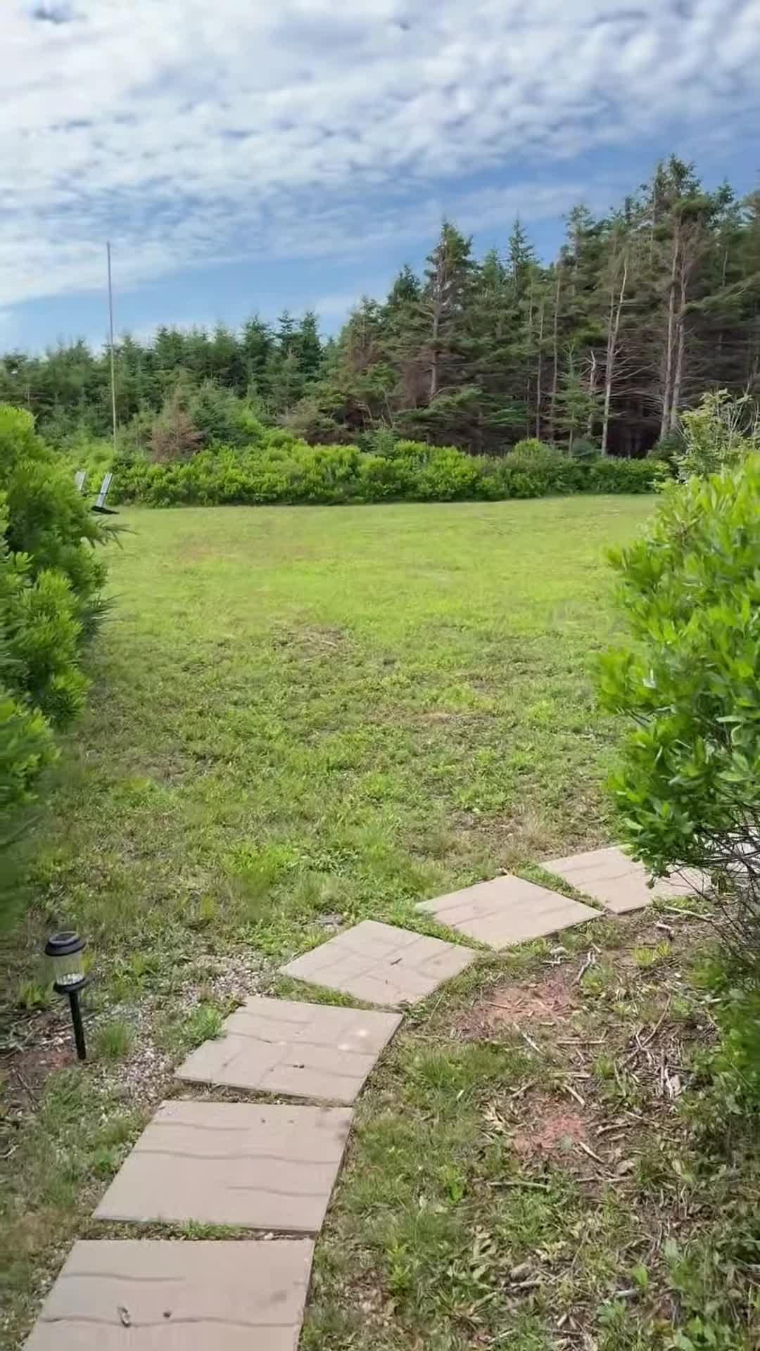 Property video