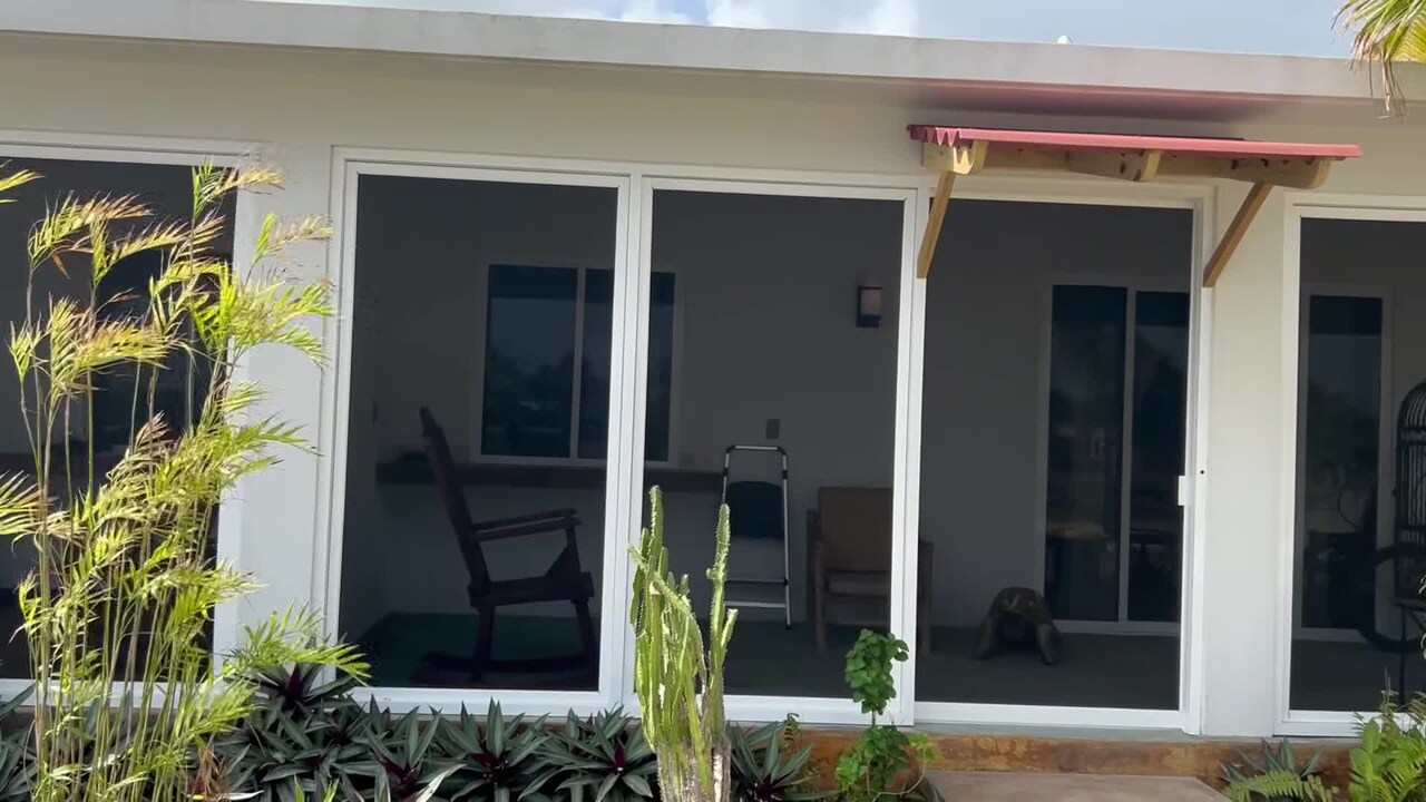 Property video