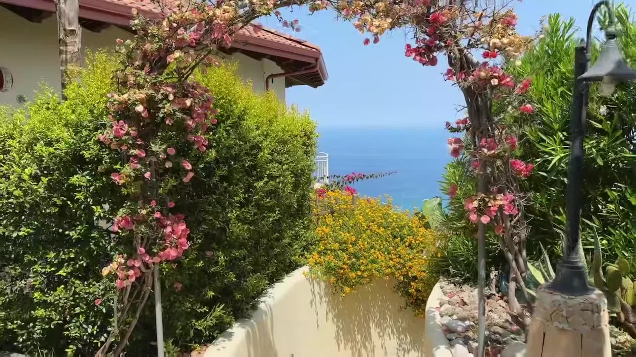 Property video