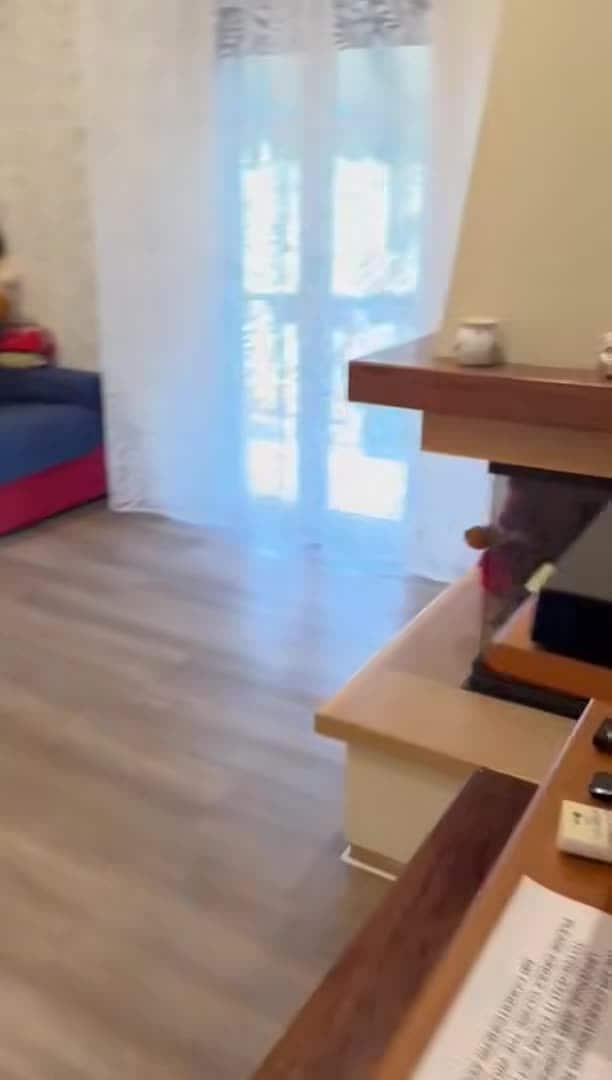 Property video
