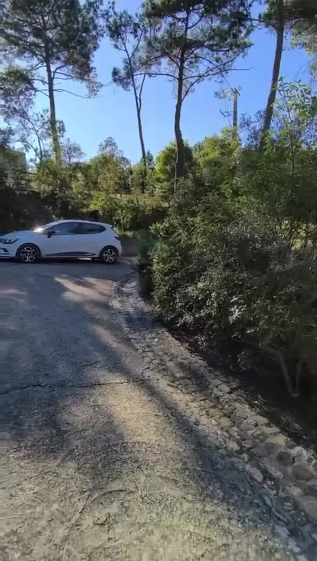 Property video