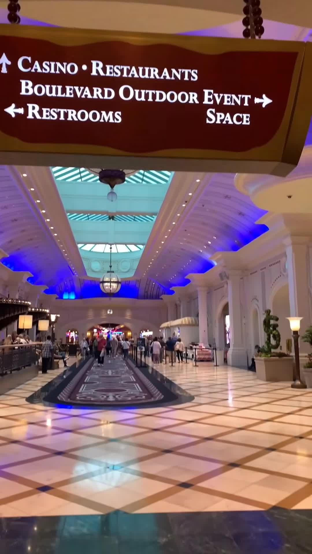 Video của nhà sáng tạo