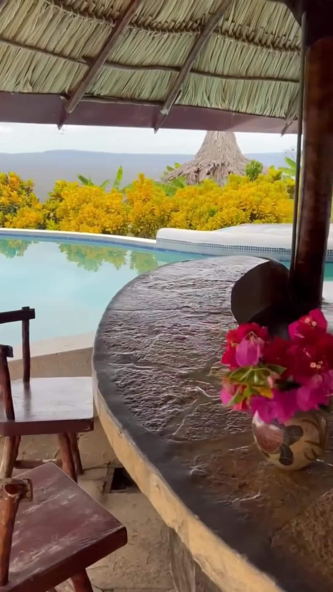 Creator video