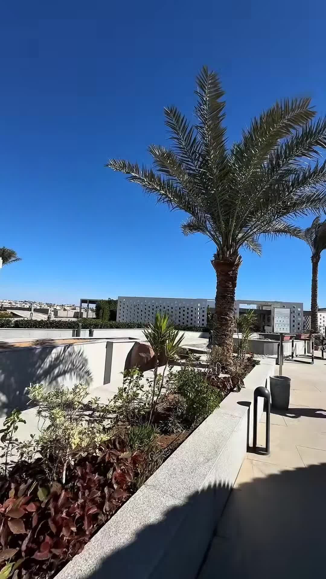 فيديو صانعي المحتوى