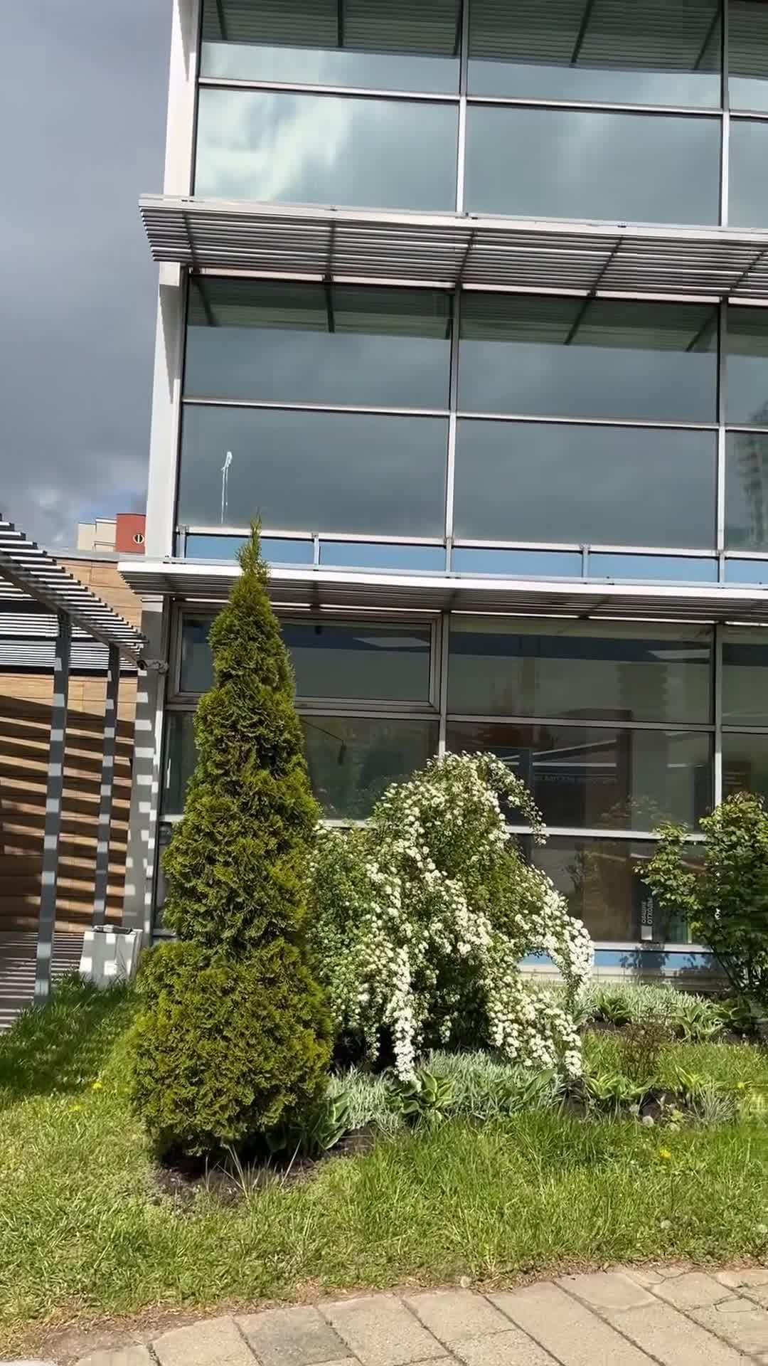 Creator video