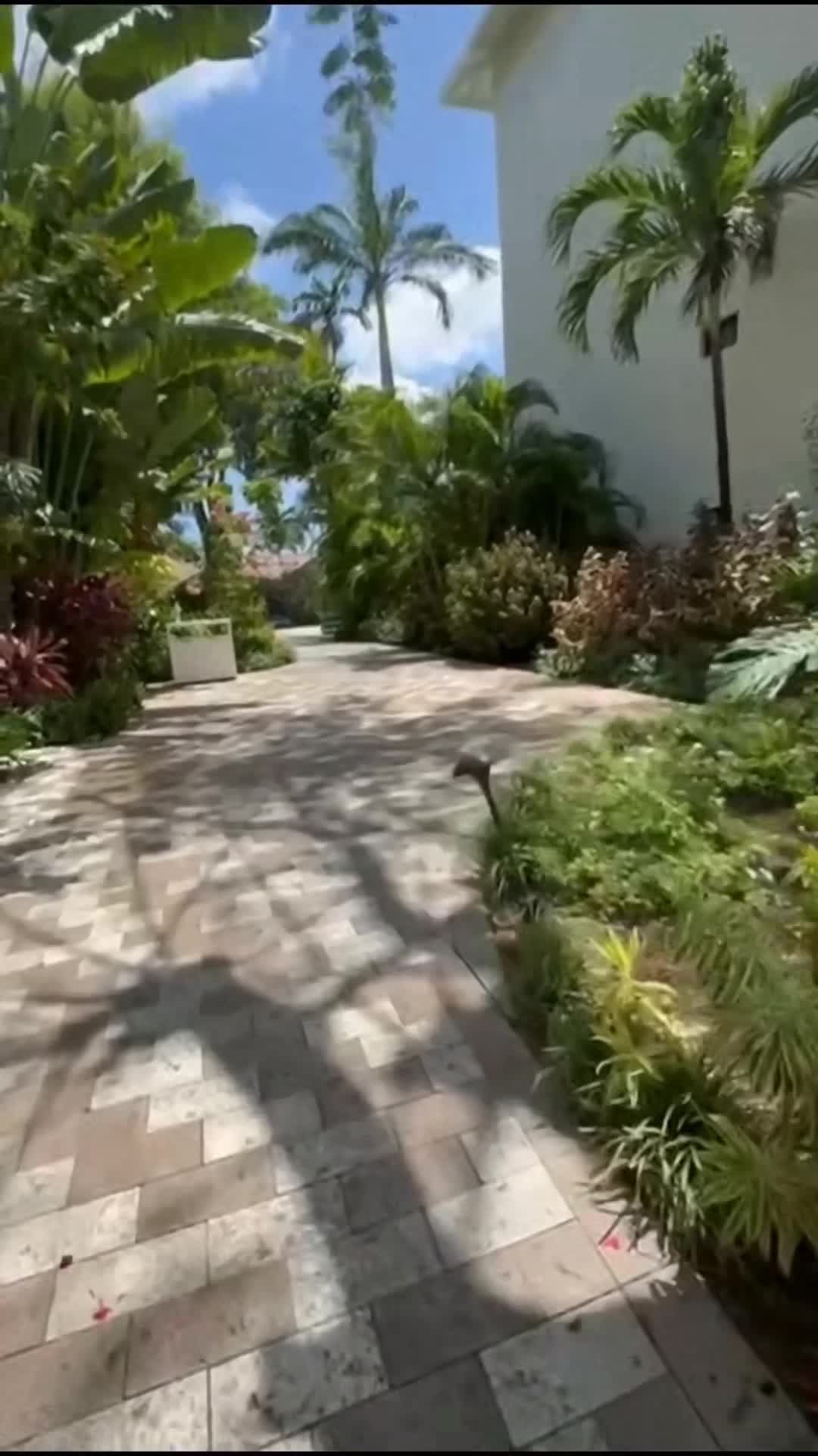 Creator video