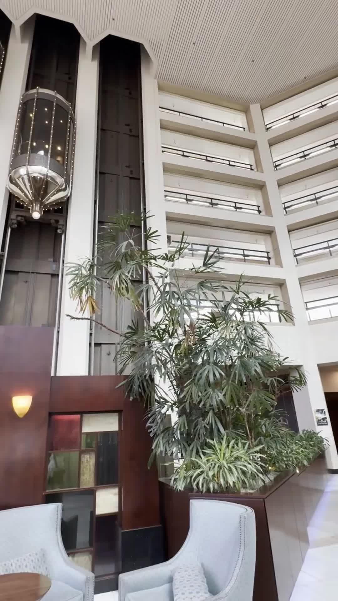 Creator video