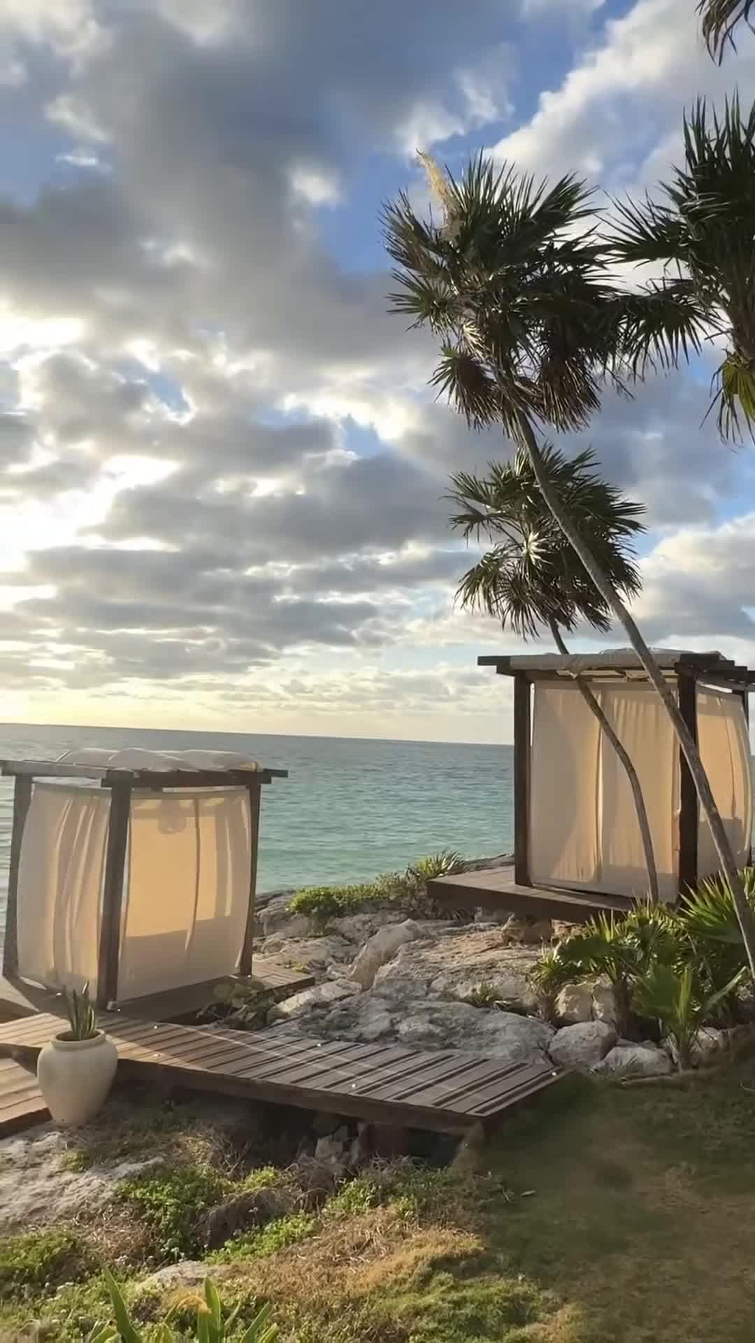 Creator video - submitted by Tara Pouyat