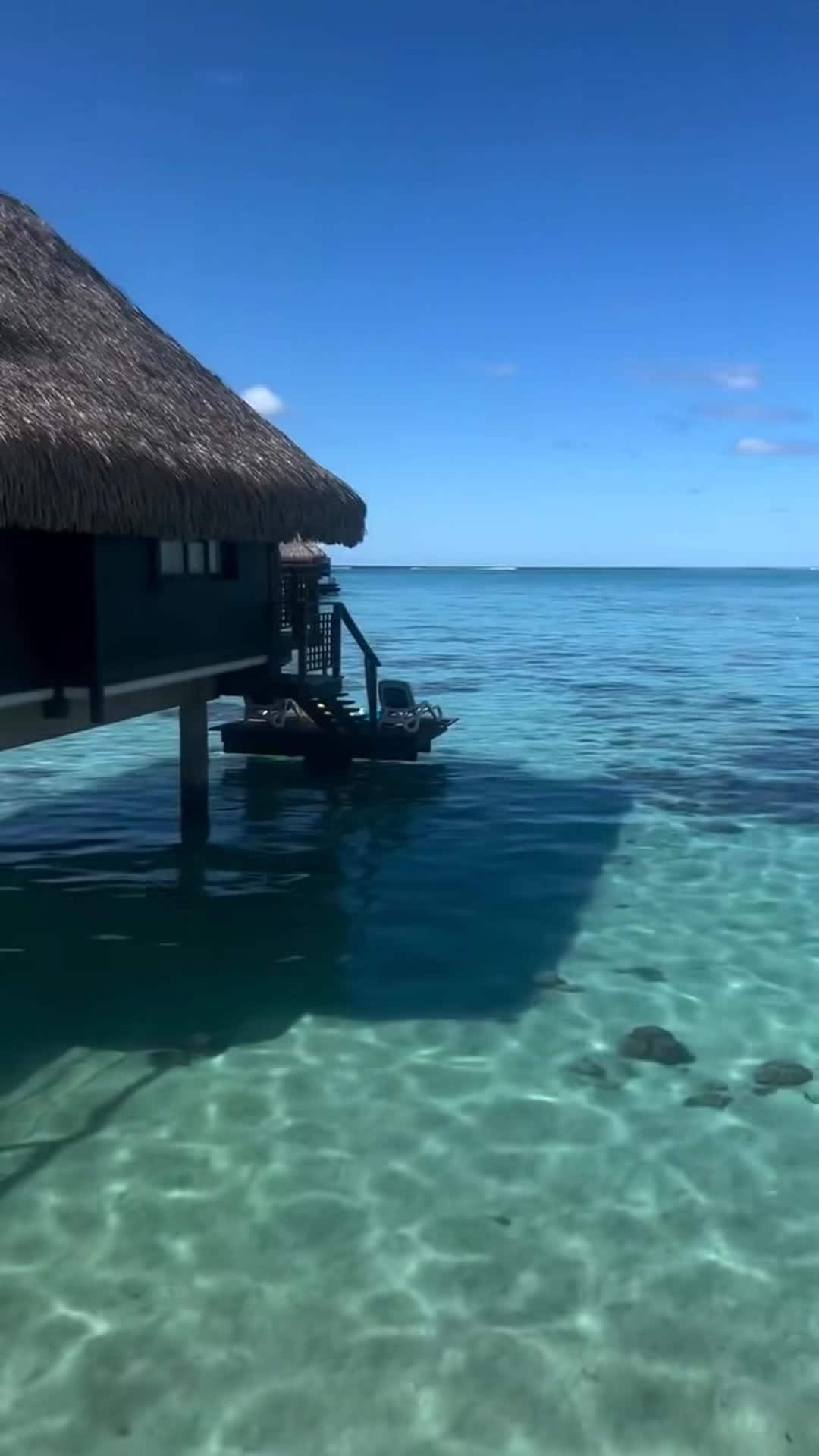 Video realizado por un influencer