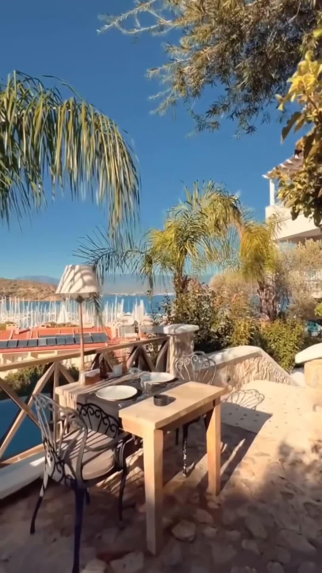 Creator video