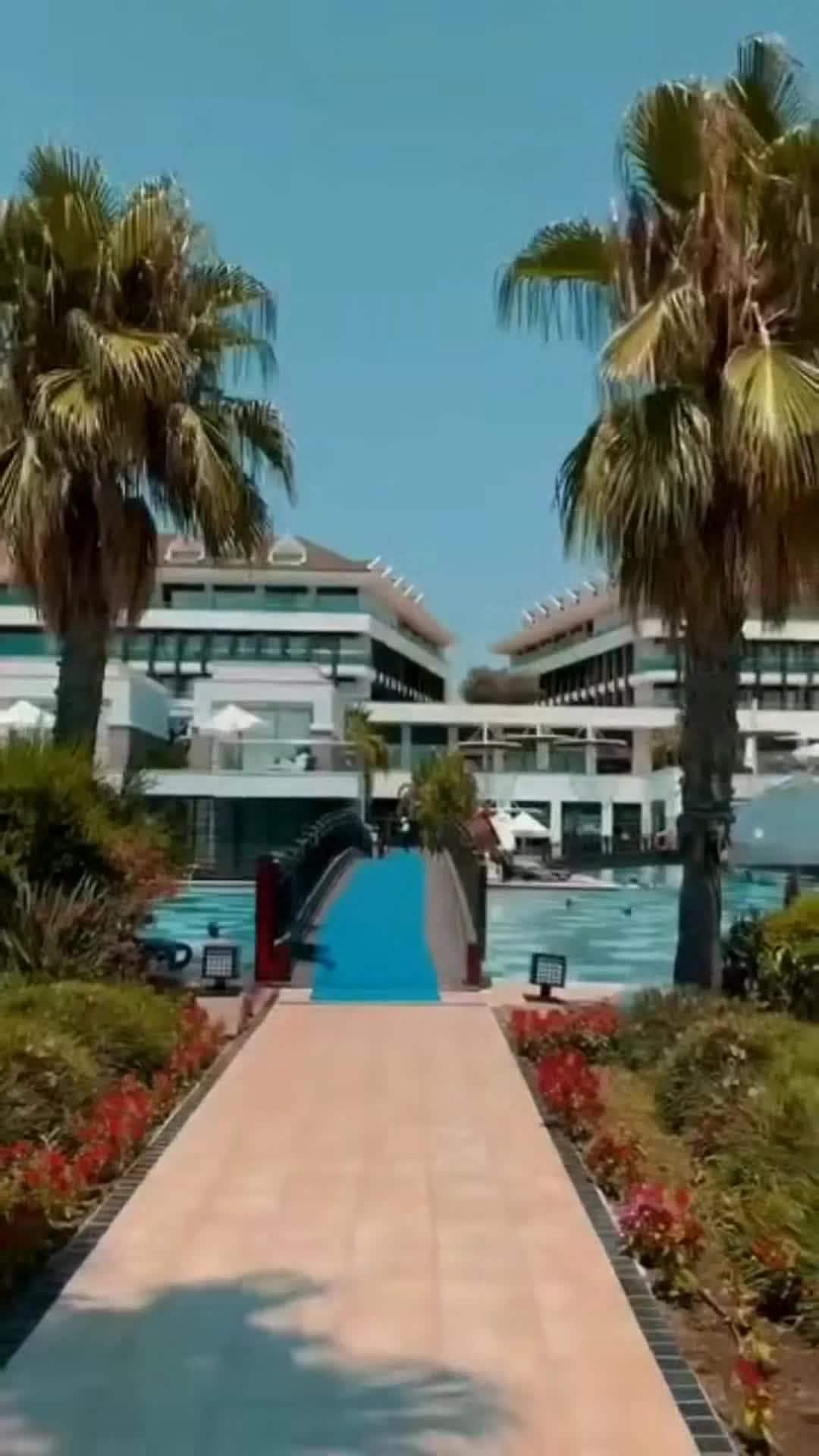 Creator video