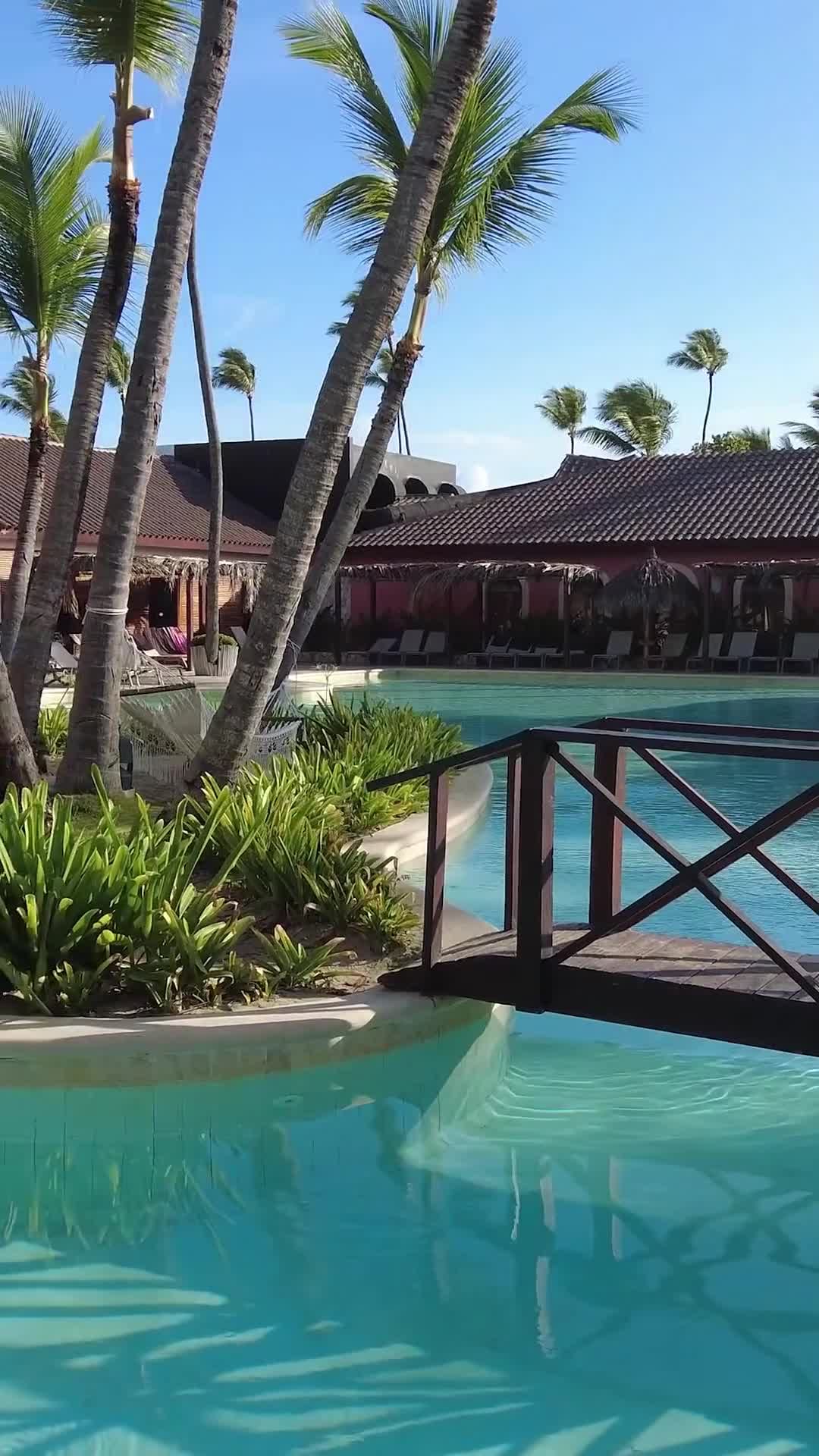 Creator video