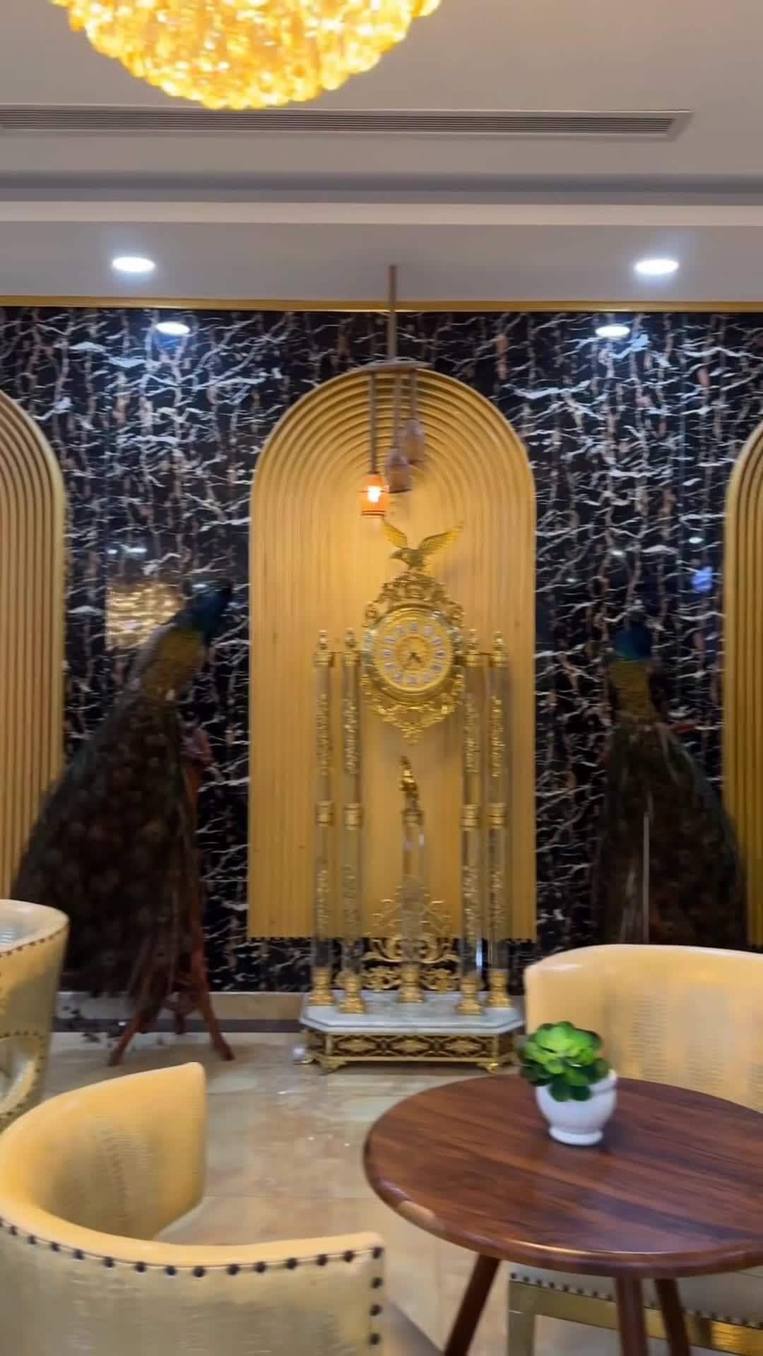 فيديو صانعي المحتوى