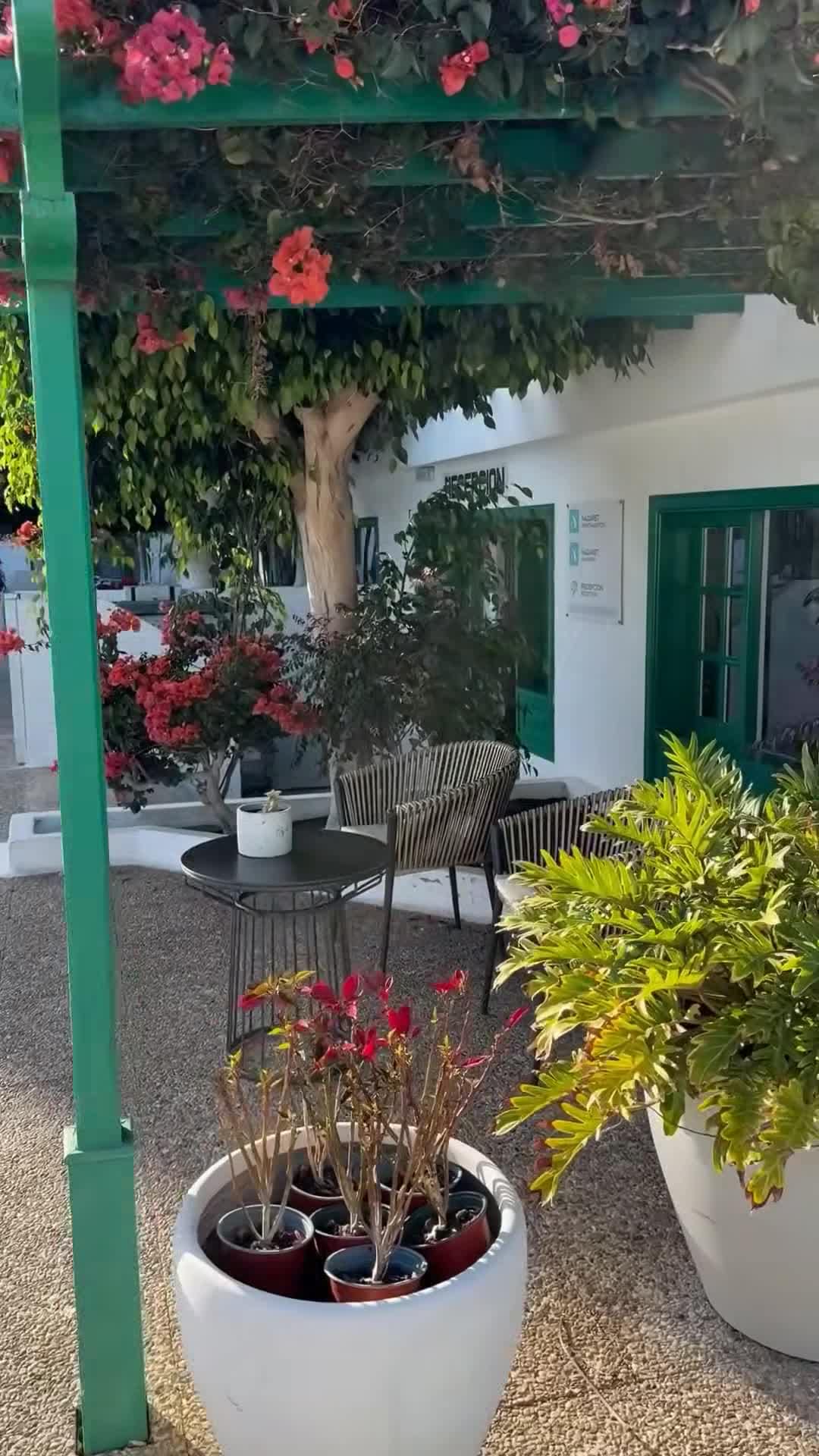Vidéo du créateur