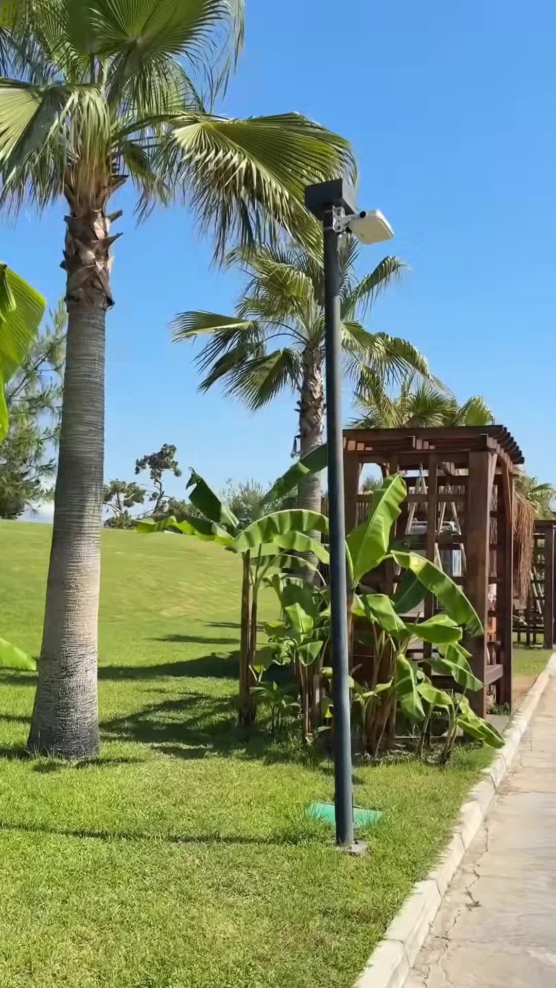 Vidéo de créateur