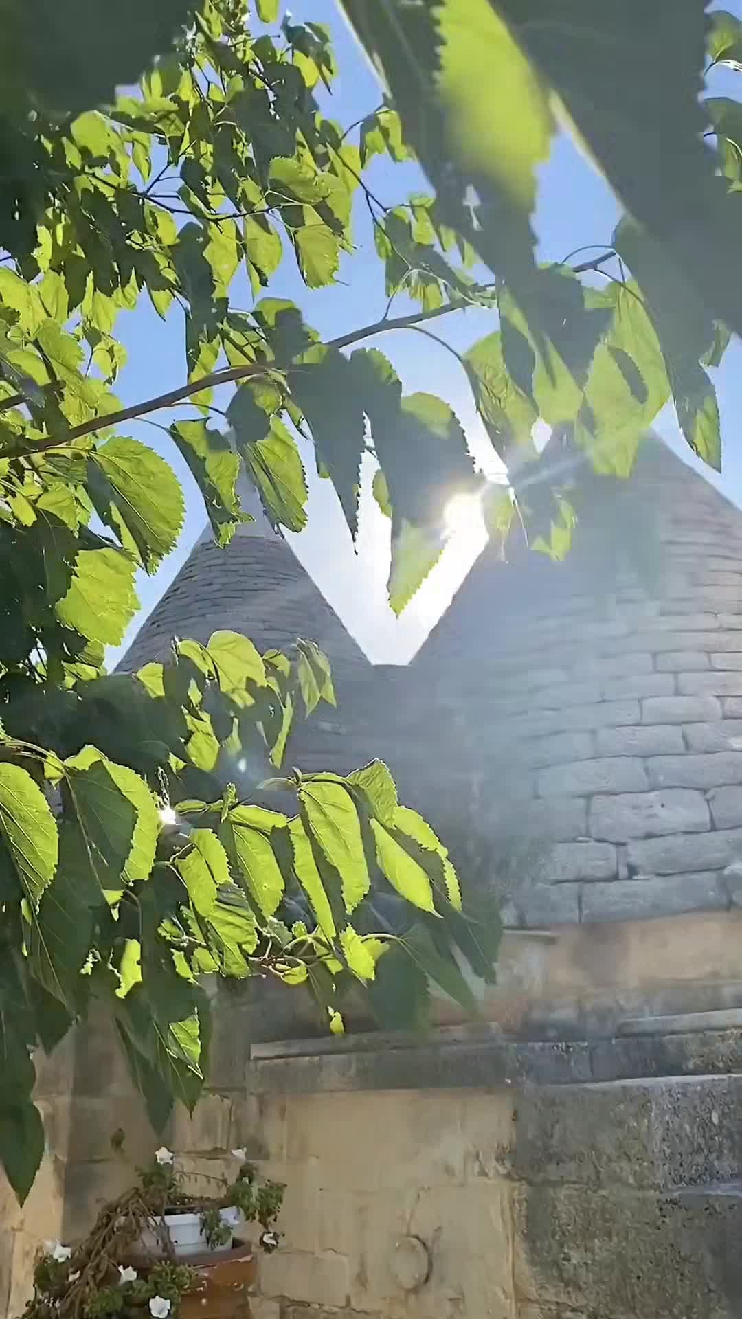 فيديو صانعي المحتوى