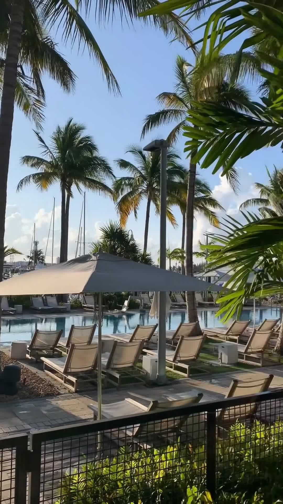 Creator video