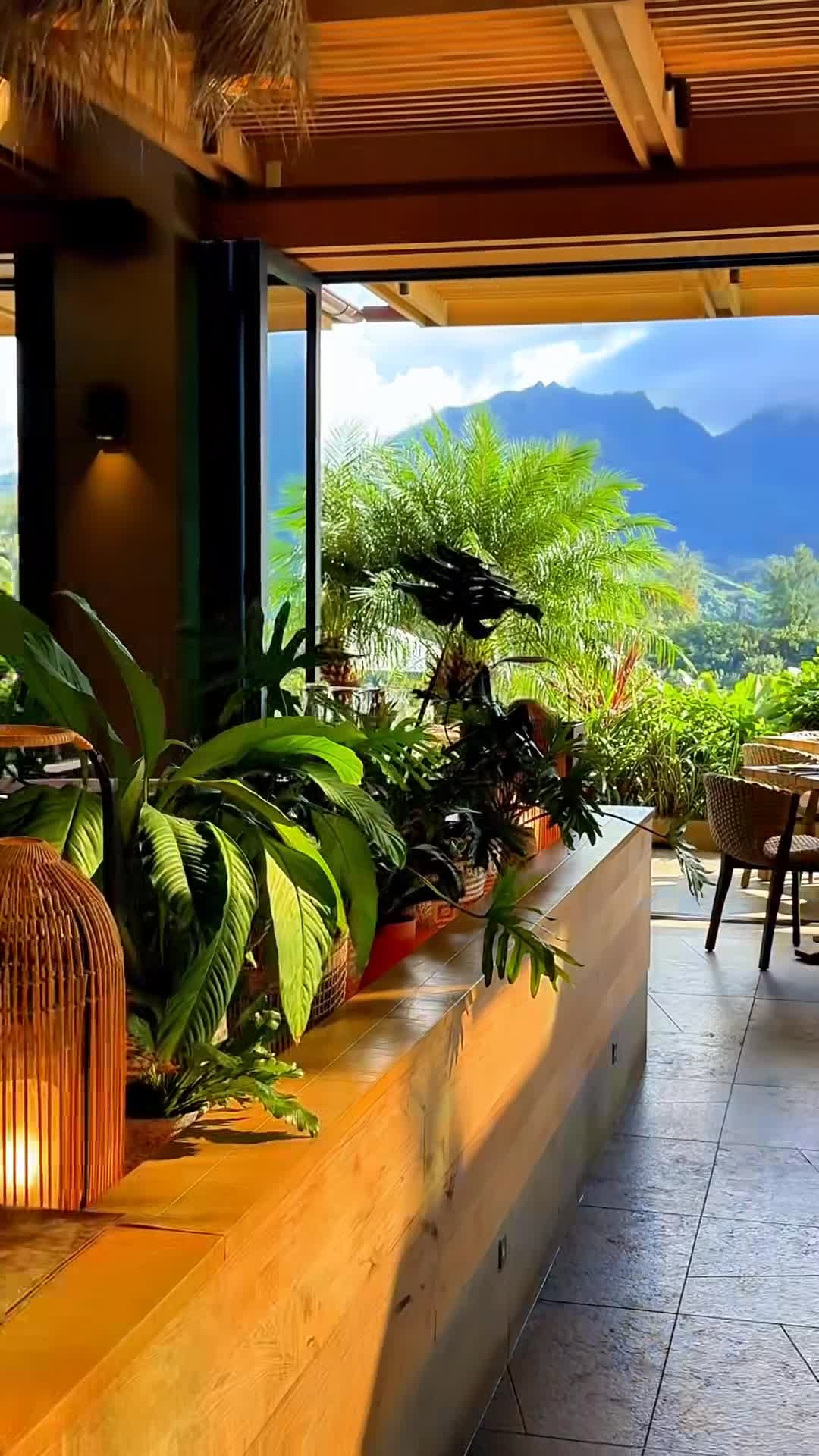 Creator video - submitted by Pretty Collected