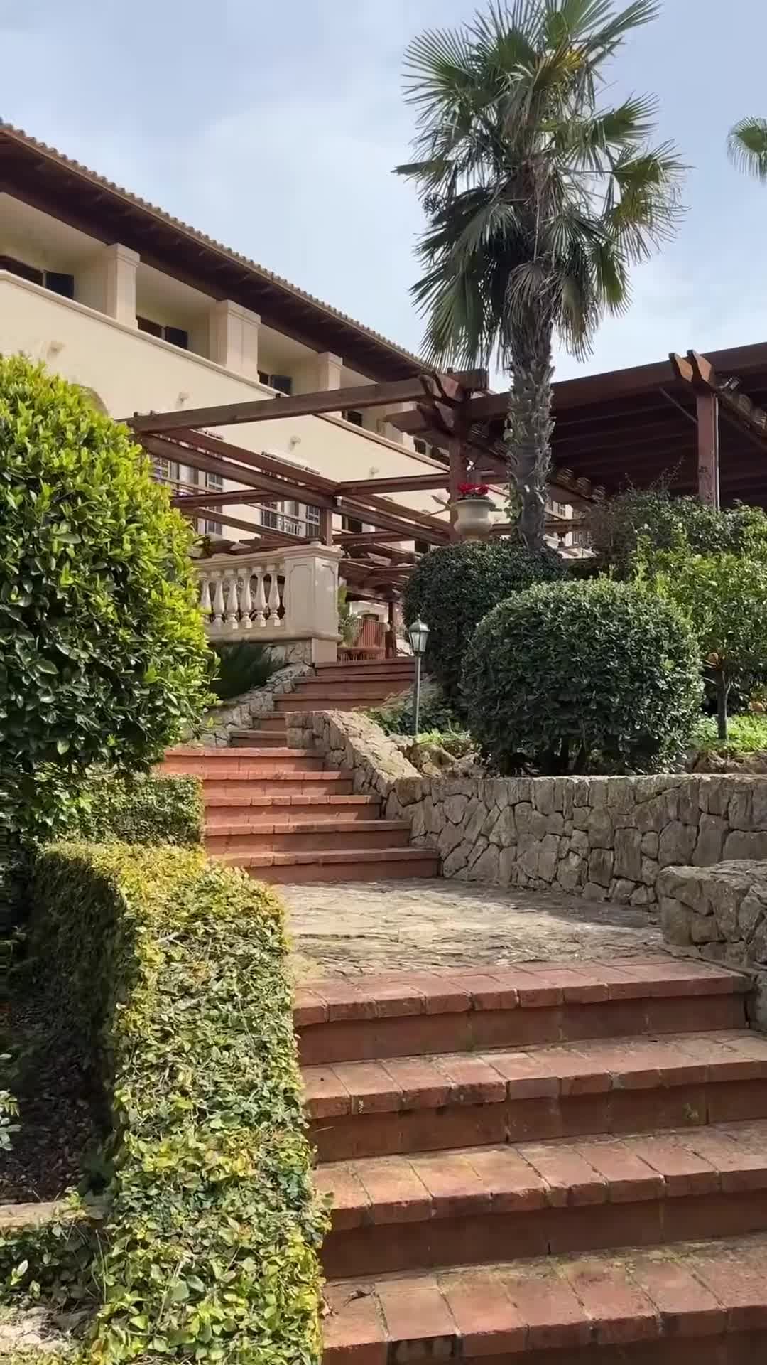 Vídeo fet per un creador