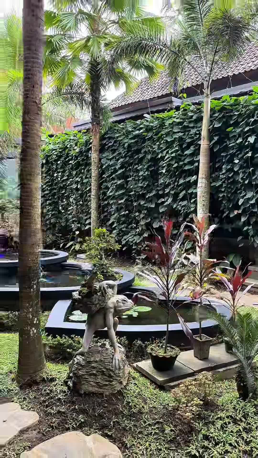 Influencer-Video