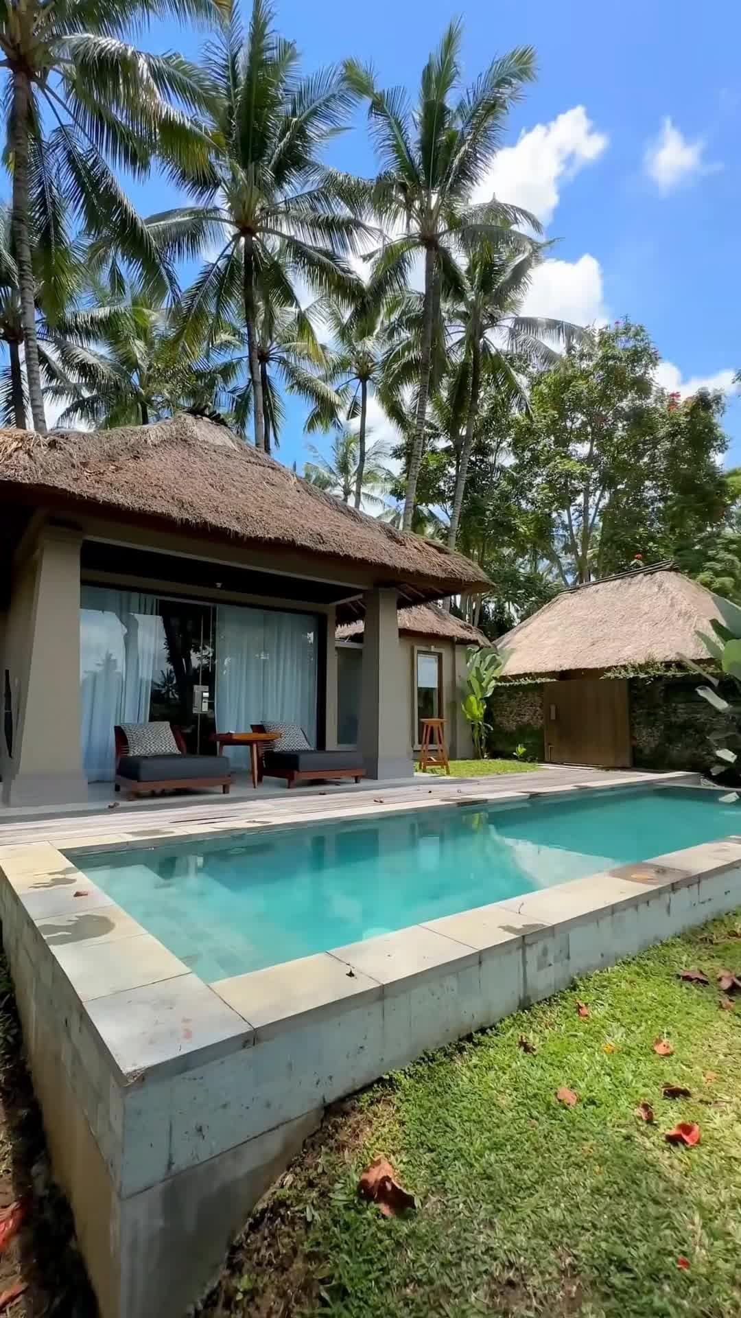 Creator video