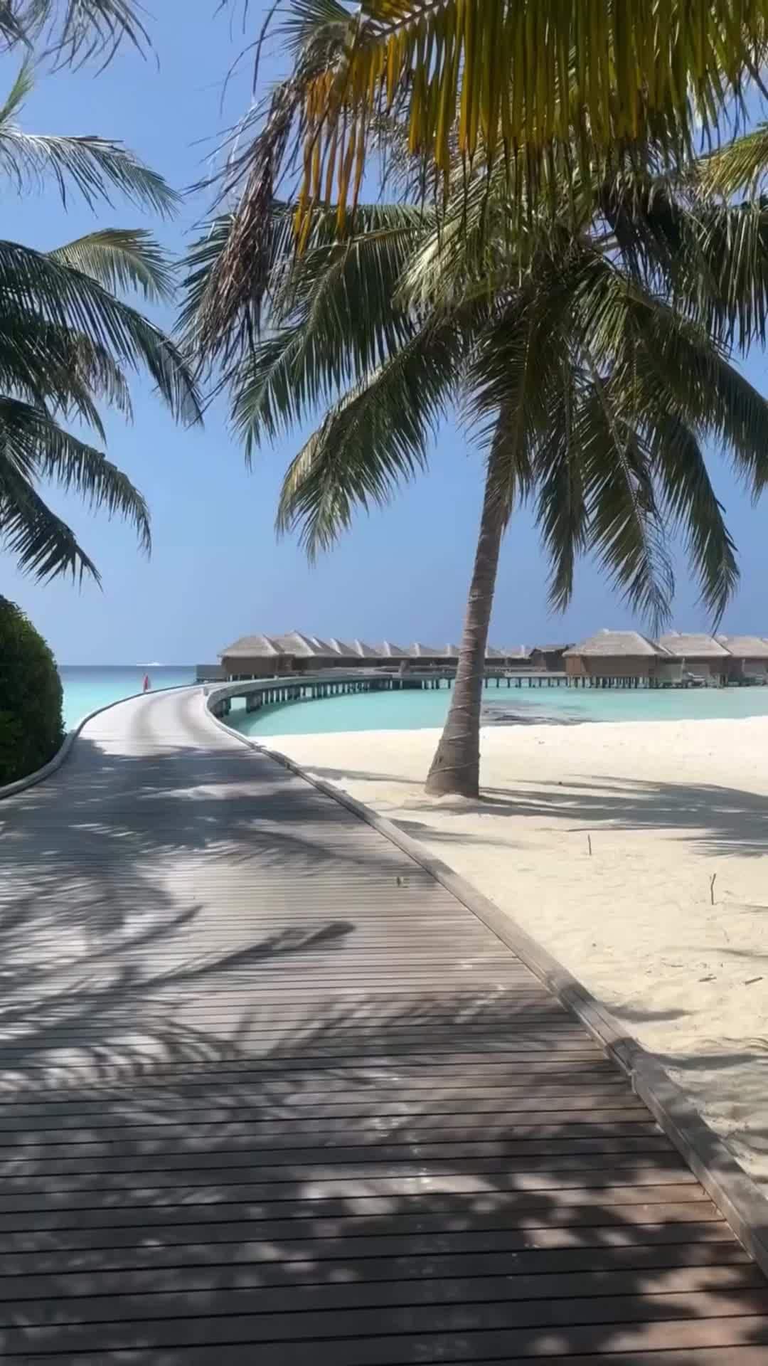 Vidéo de créateur