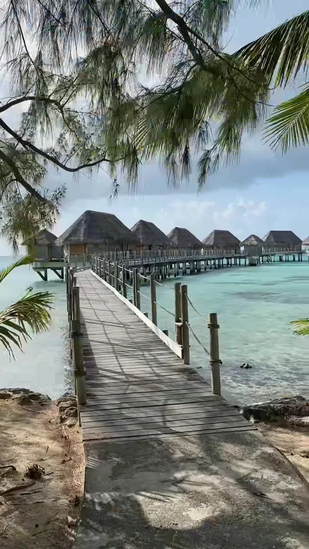 Creator video