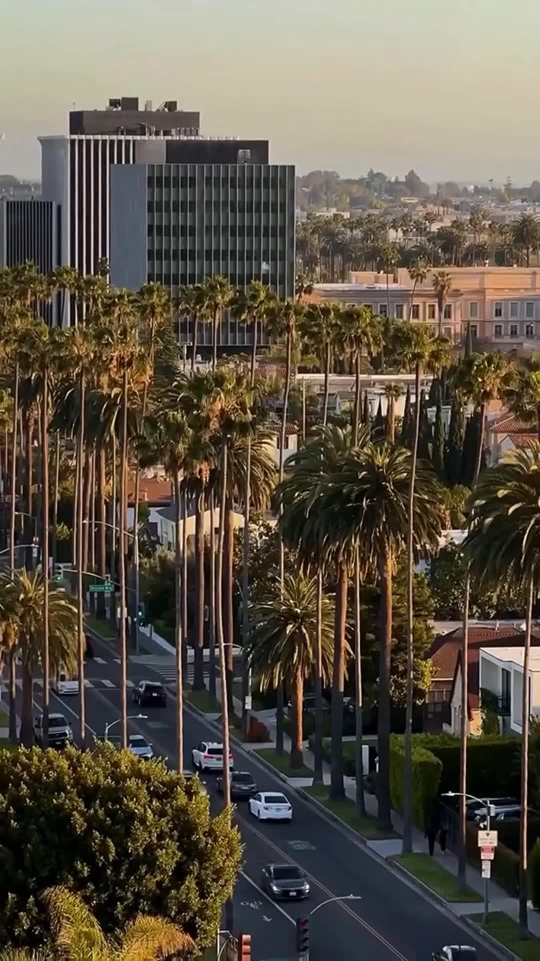 Creator video