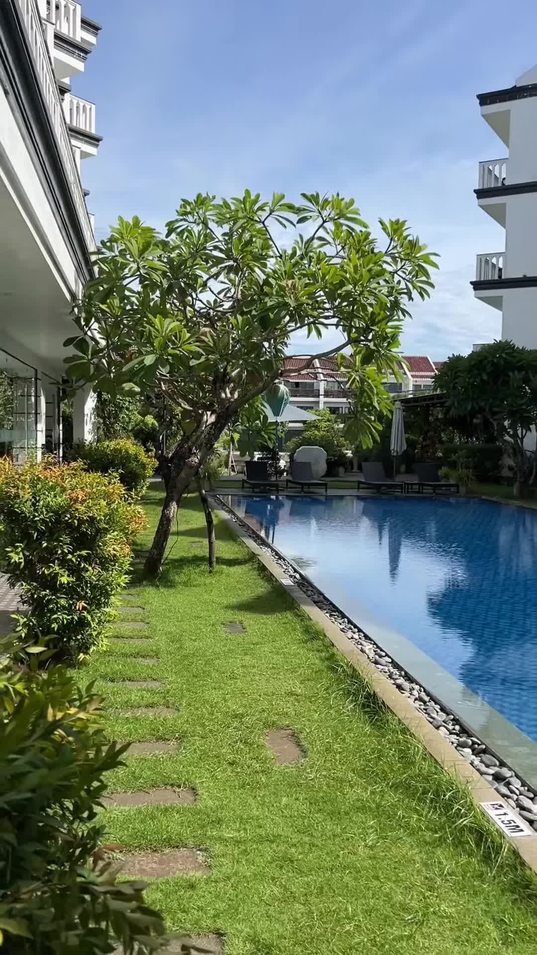 วิดีโอจากครีเอเตอร์