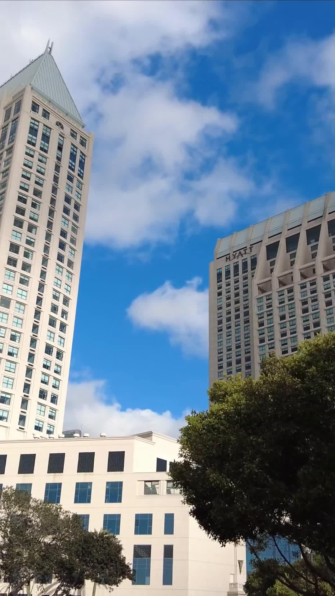 Creator video - submitted by Chris Rust
