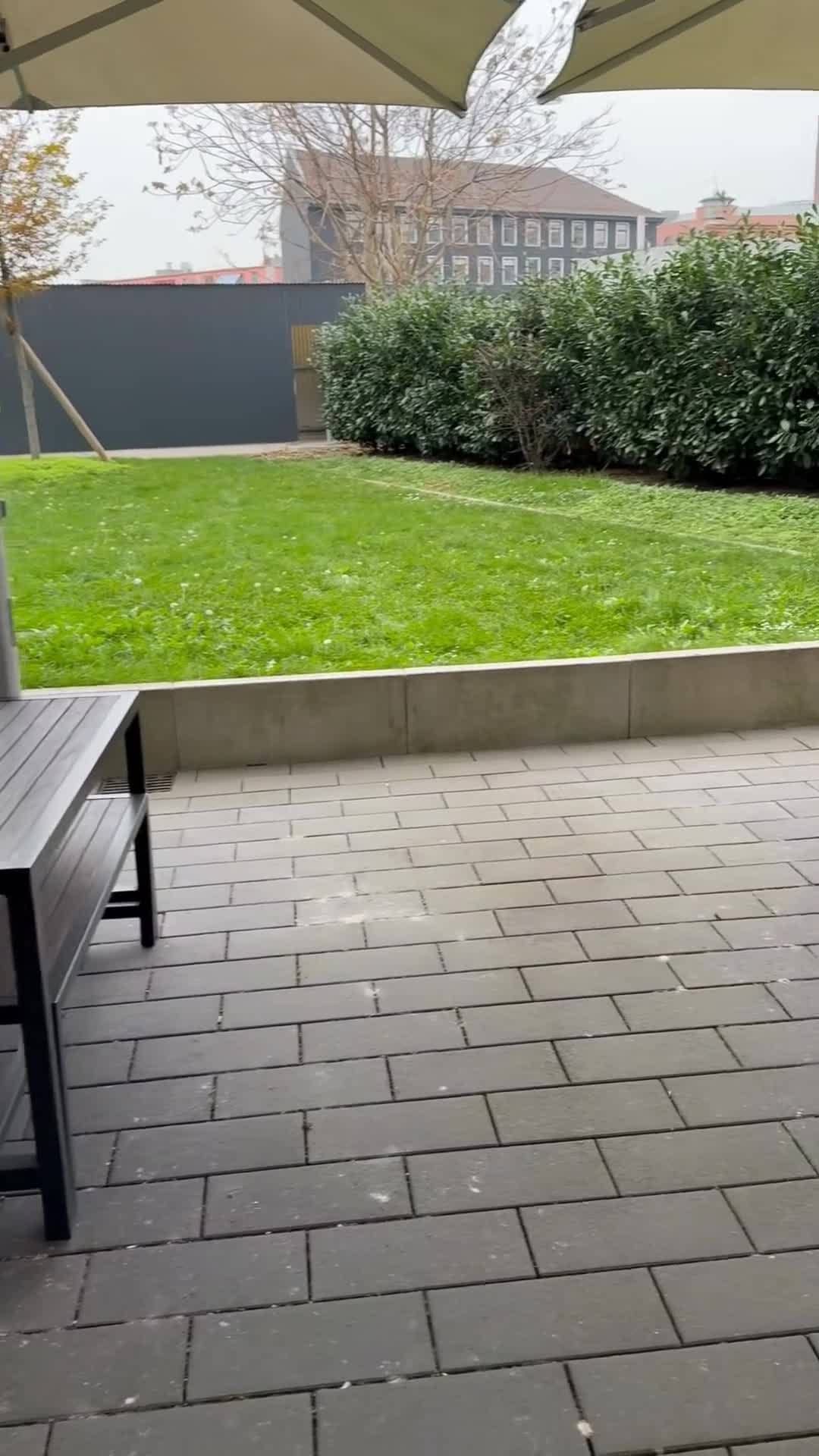 Creator video
