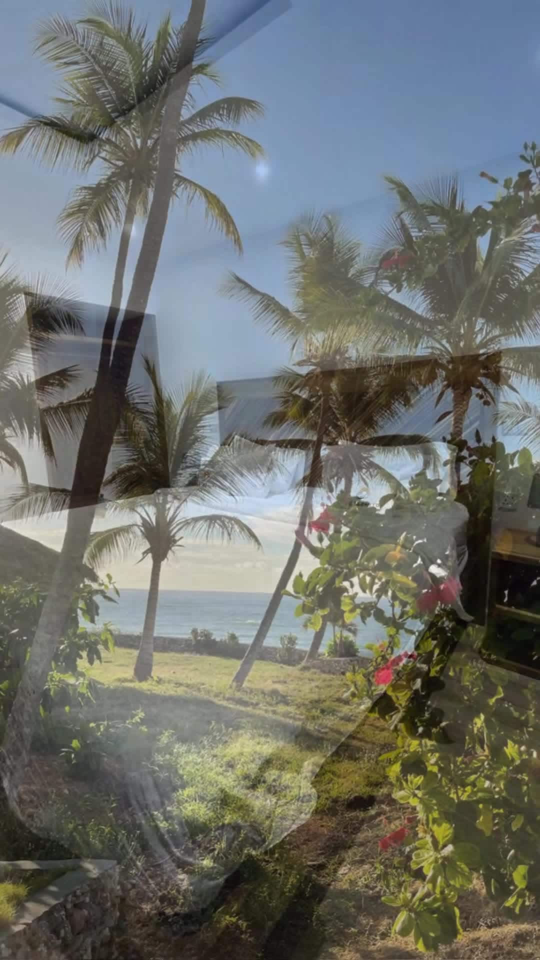 Creator video - submitted by Katherine Suero