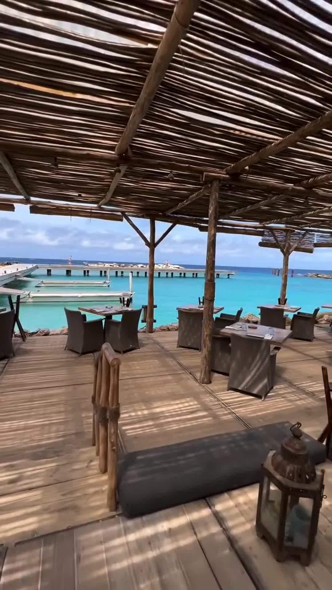 Creator video
