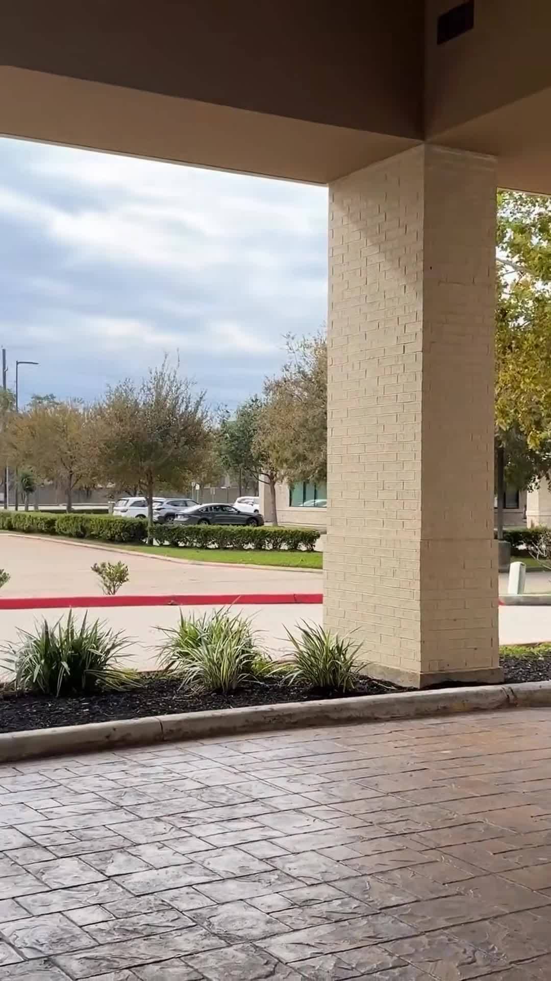 Creator video