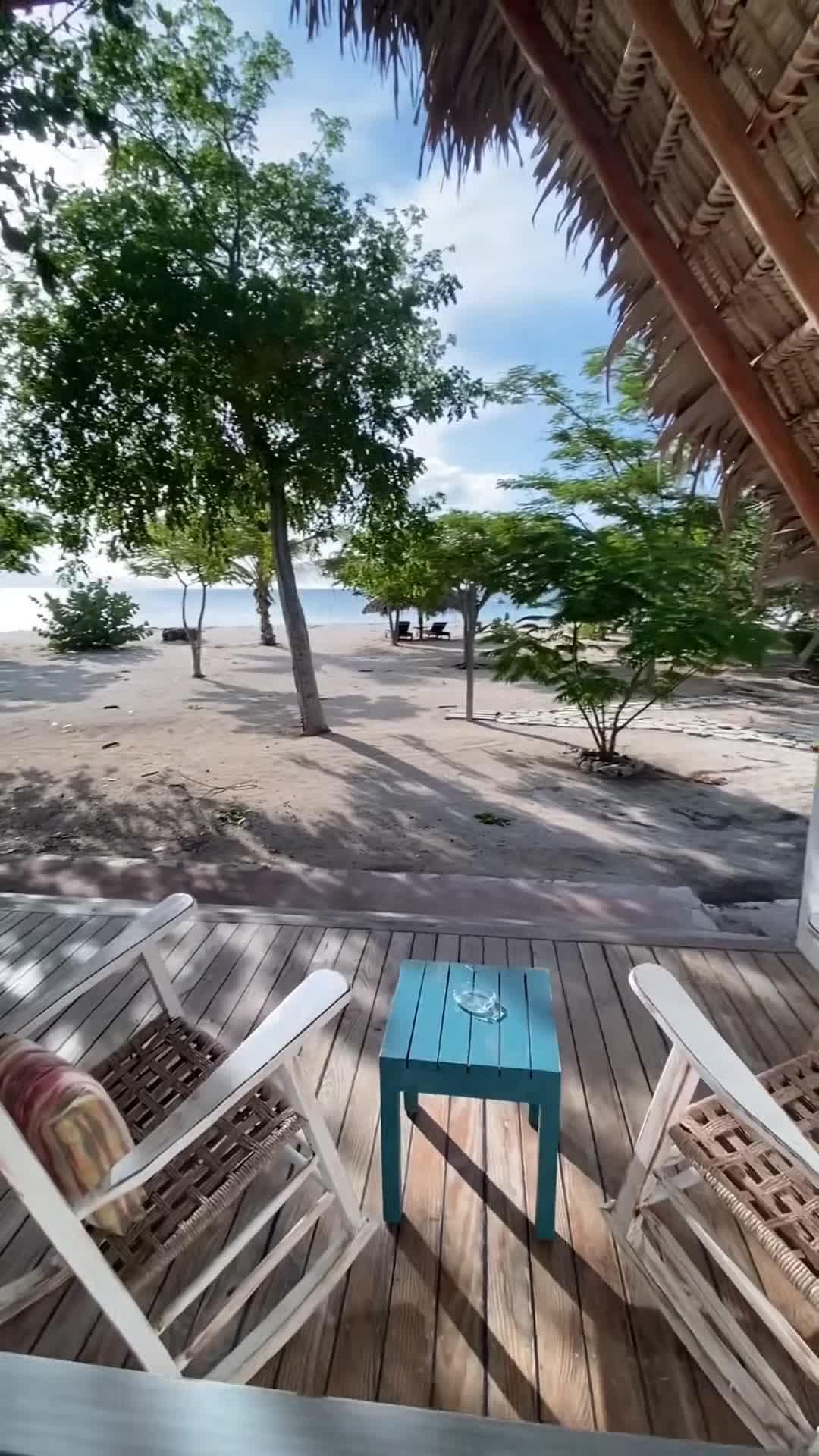 Creator video