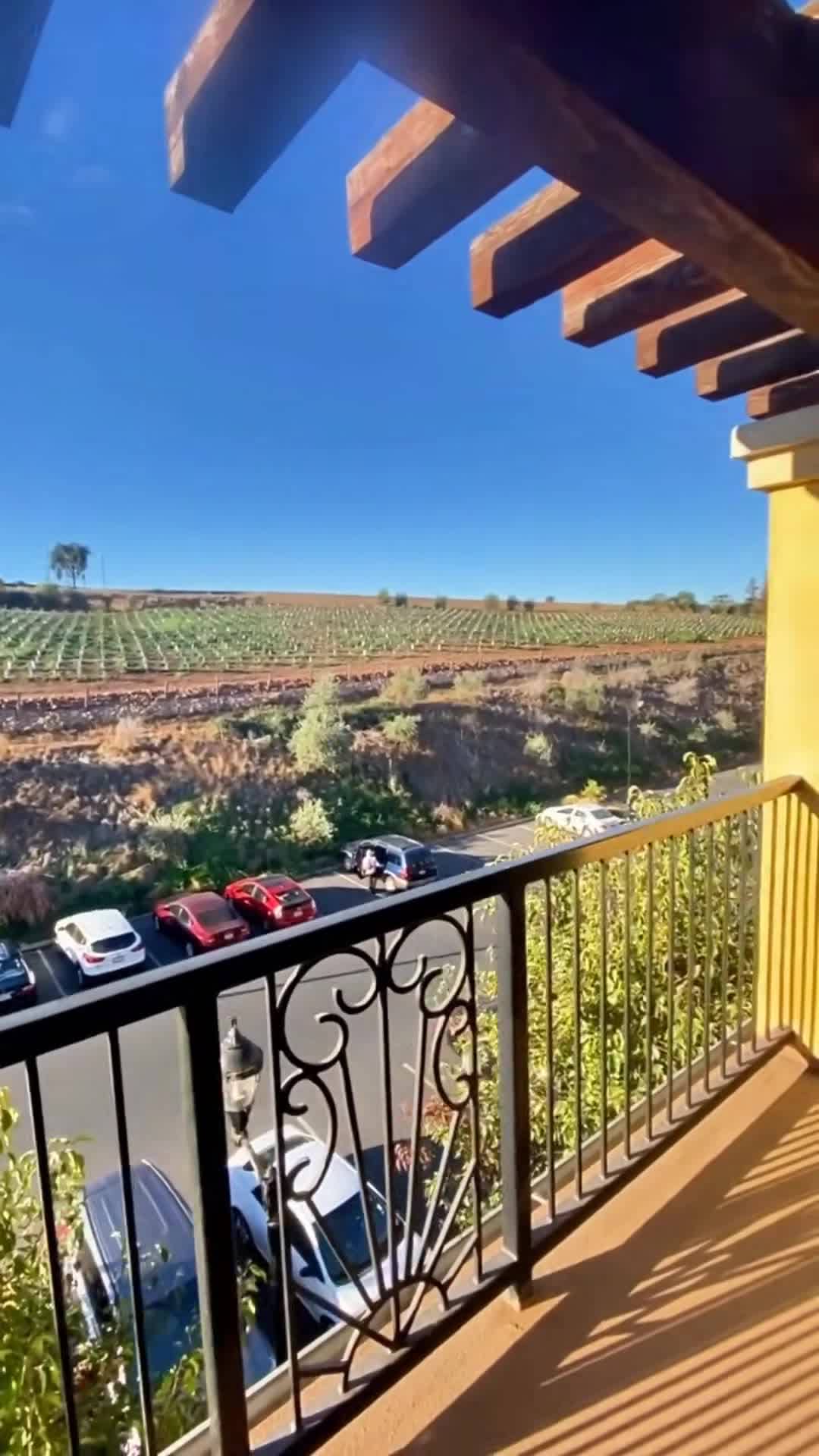Creator video - submitted by Nancy Sevilla