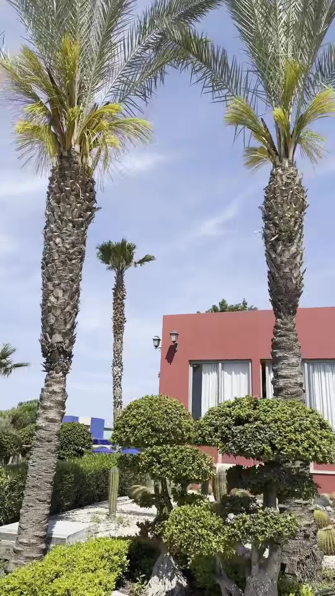 Influencer-Video
