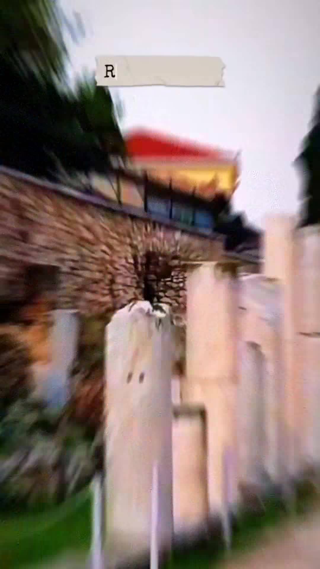 Vídeo do criador de conteúdo