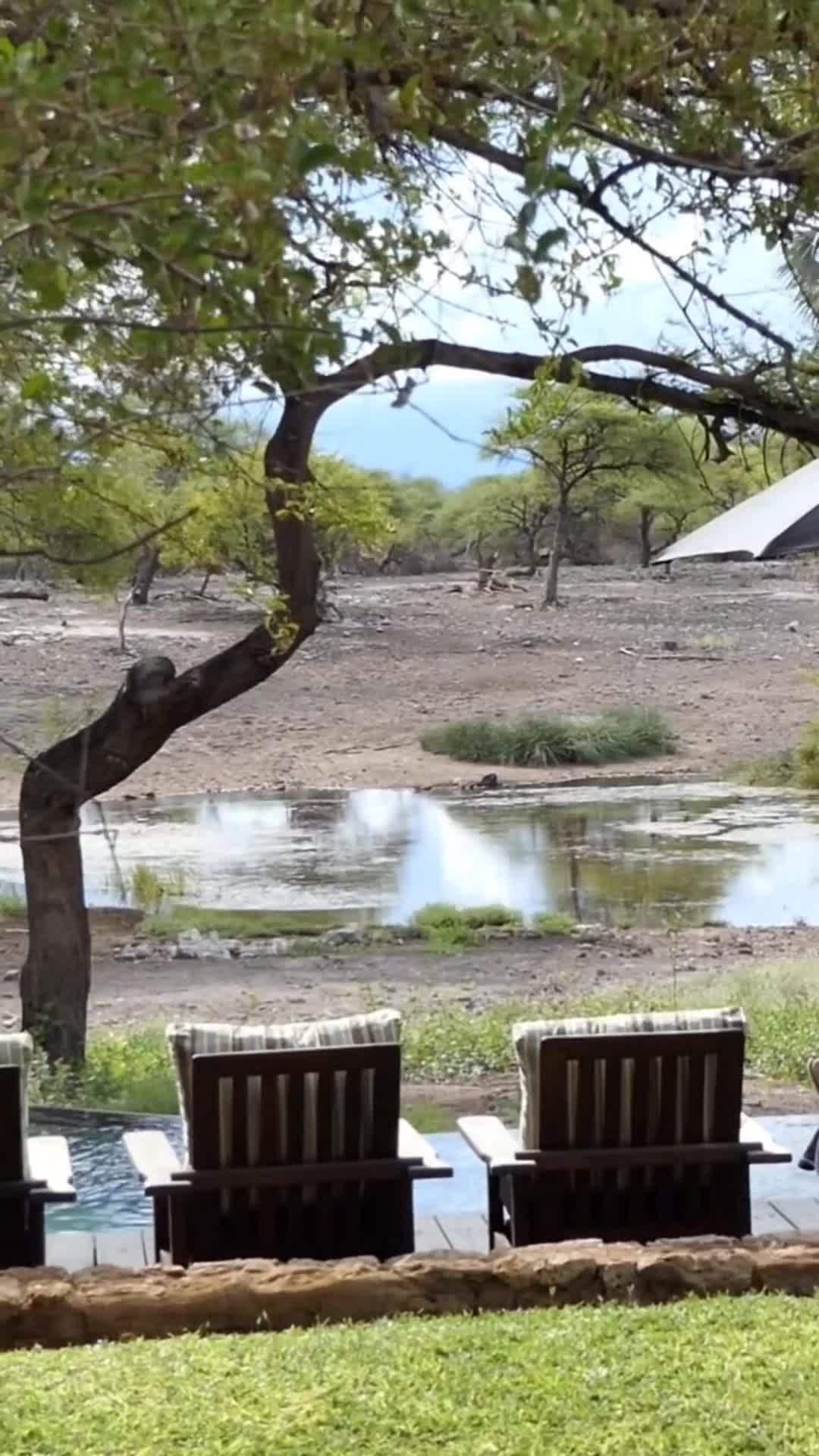 Vidéo du créateur