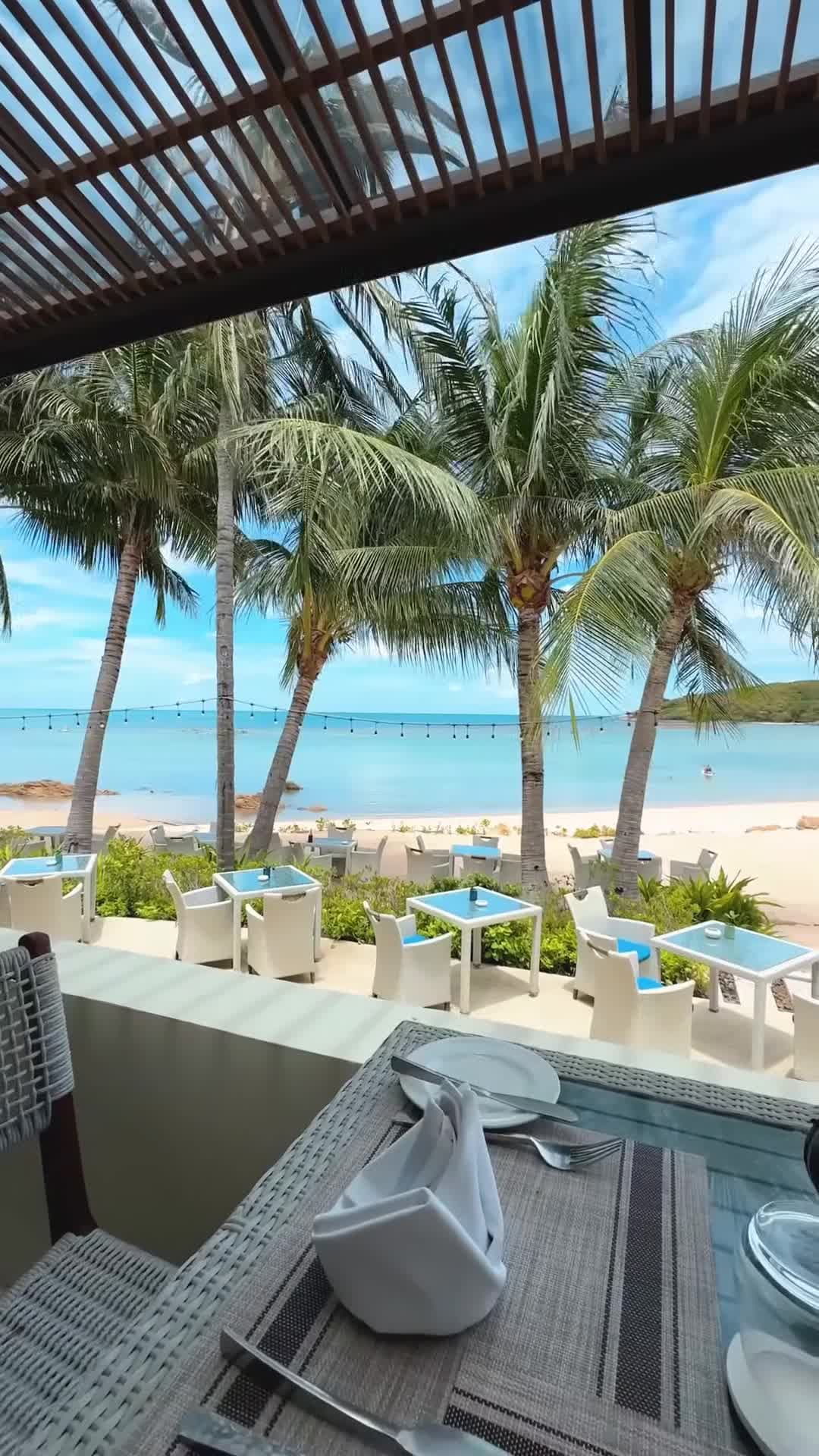 Video realizado por un influencer - enviado por Stephen Parry Valentine