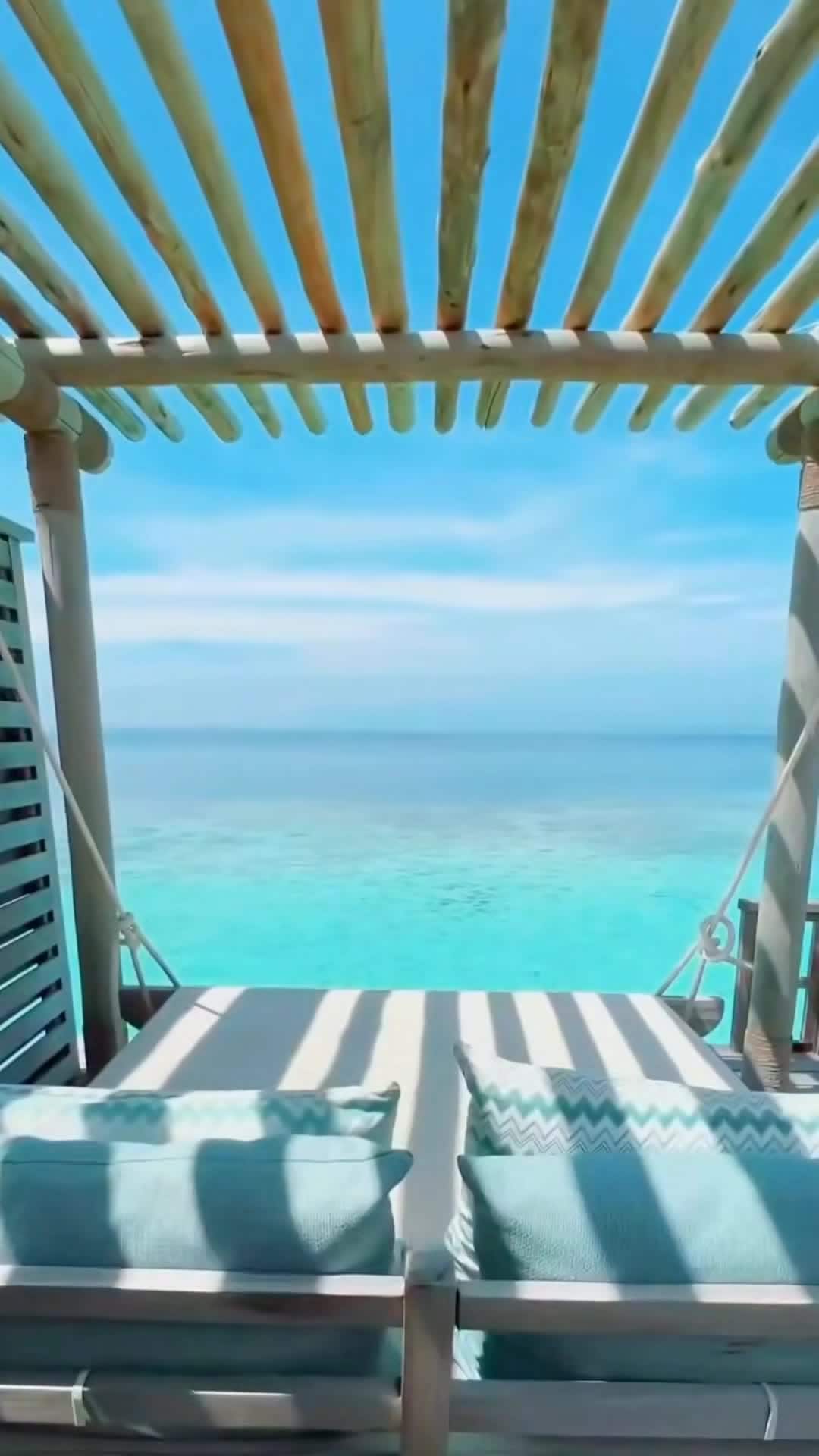 크리에이터 동영상